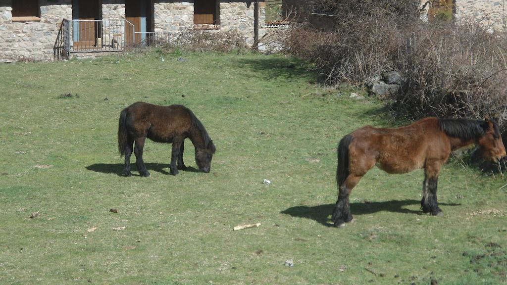 El Rincon De Zaldierna エクステリア 写真